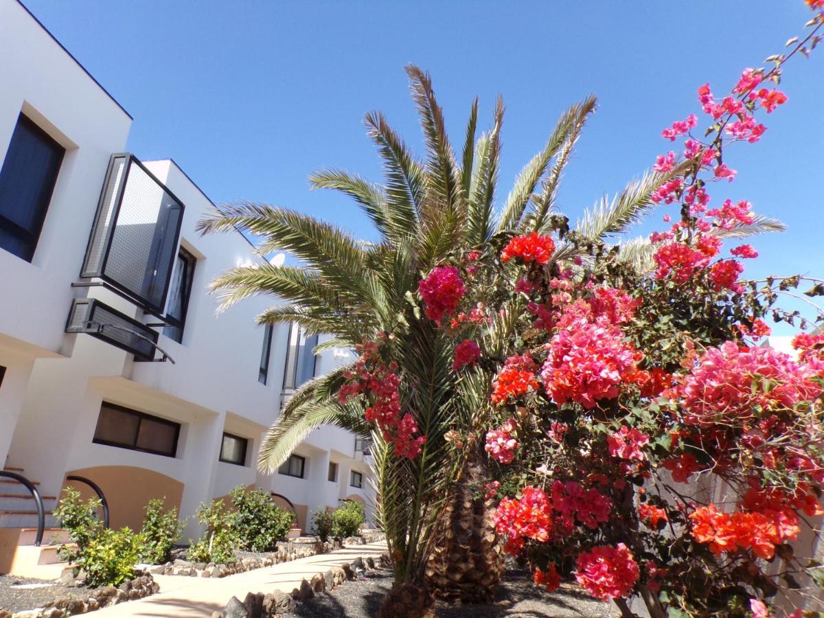 Amaya Ocean View Apartment Коста-де-Антигуа Экстерьер фото